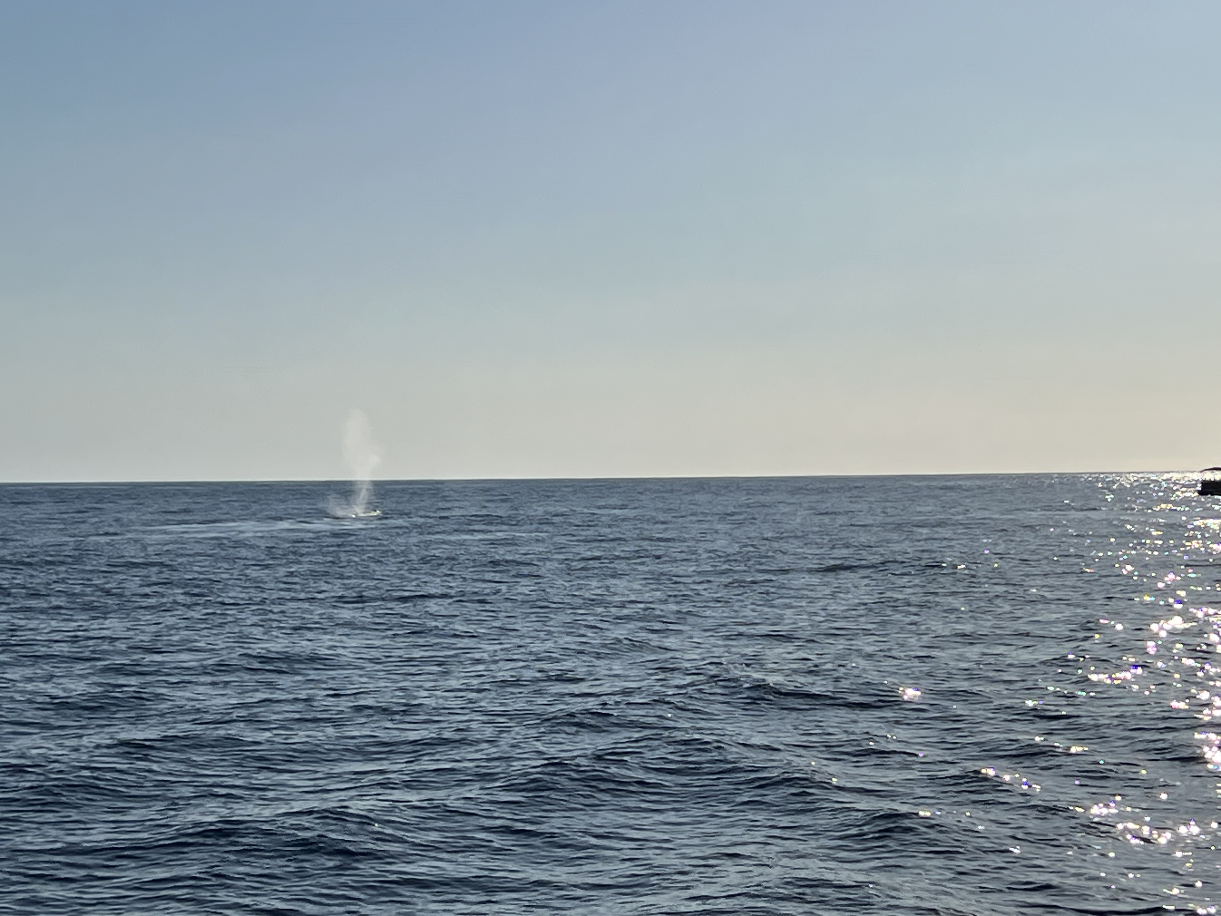 ./2024/13 - Cabo/IMG_4679.jpg